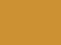 Placeholder &mdash; site and yard area photo coming soon